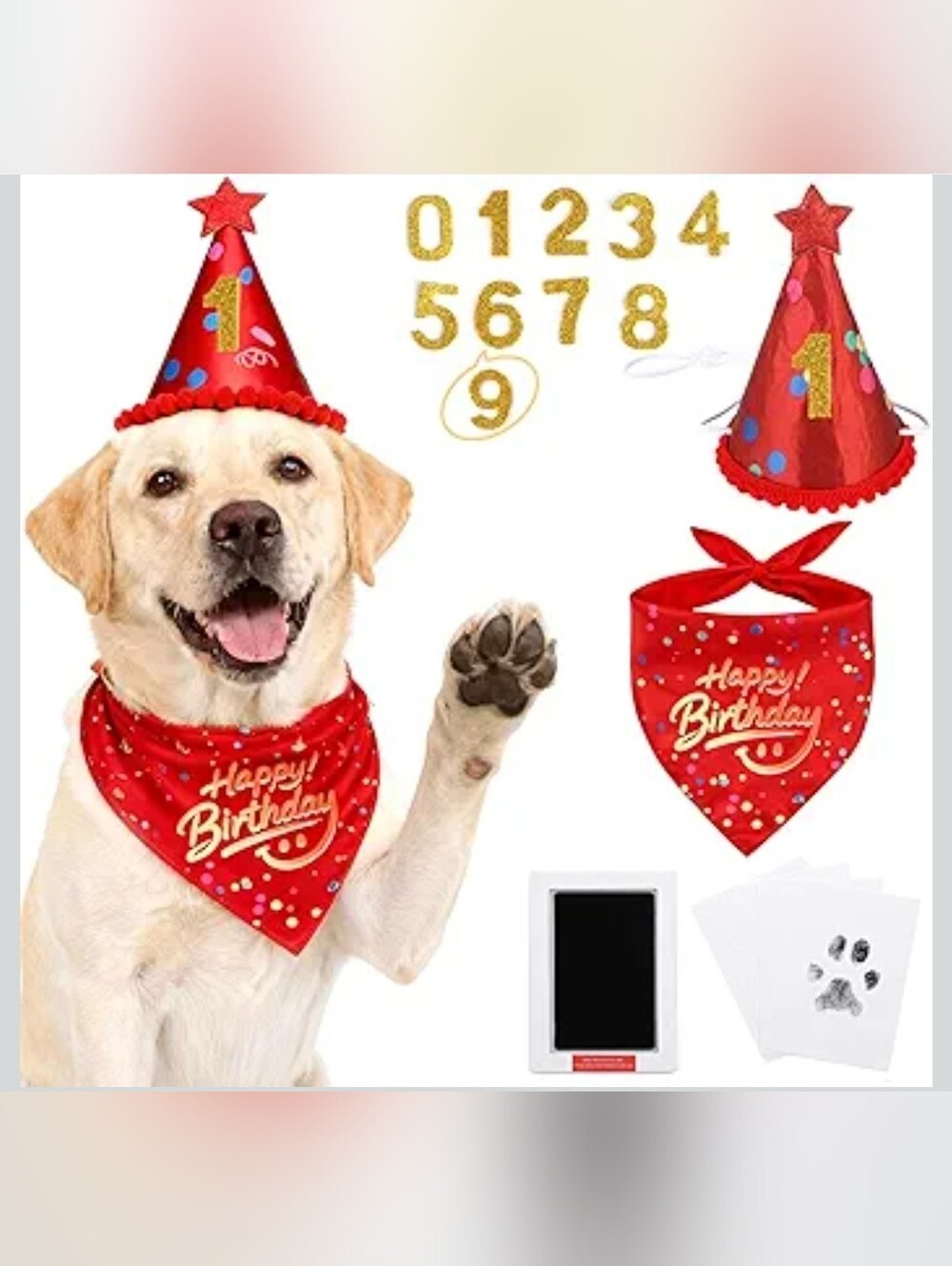 Dog Birthday Party Supplies with Paw Print Kit